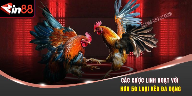 Các cược linh hoạt với hơn 50 loại kèo đa dạng